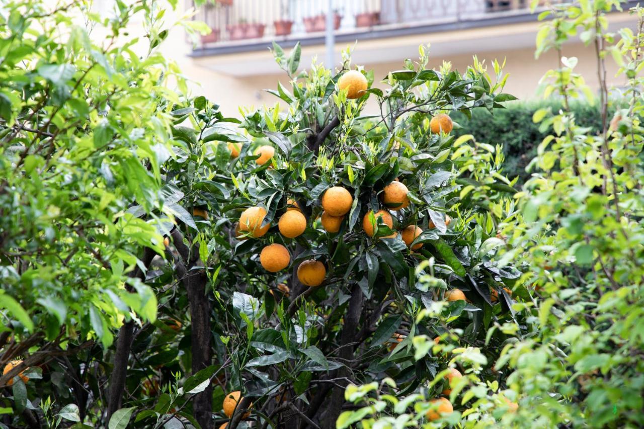مبيت وإفطار كازيرتا L' Albero Di Giada المظهر الخارجي الصورة
