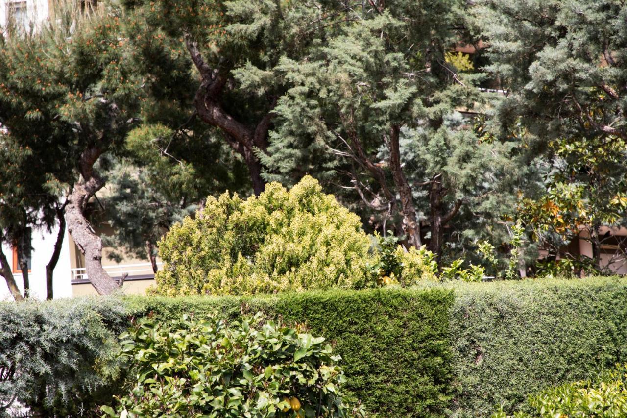 مبيت وإفطار كازيرتا L' Albero Di Giada المظهر الخارجي الصورة